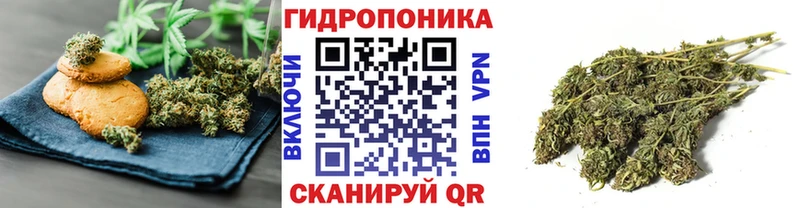 ссылка на мегу как зайти Энем Cannafood марихуана
