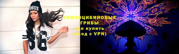 ешки Нефтегорск