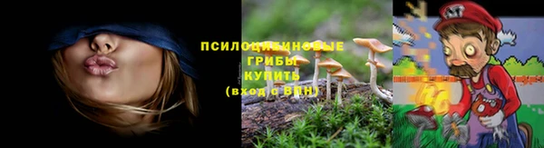 марки lsd Нея