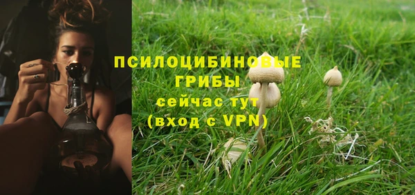 ешки Нефтегорск