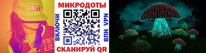 купить  сайты  Энем  Псилоцибиновые грибы мухоморы 