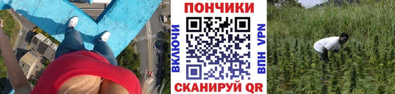 МЕГА маркетплейс  Энем  shop как зайти  Канабис планчик 