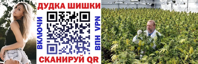 Конопля AK-47 Энем